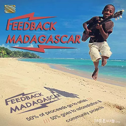 Feedback madagascar - feedback,