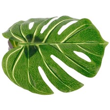  Embrasses de rideaux artificielles en feuilles de Monstera, support de rideau