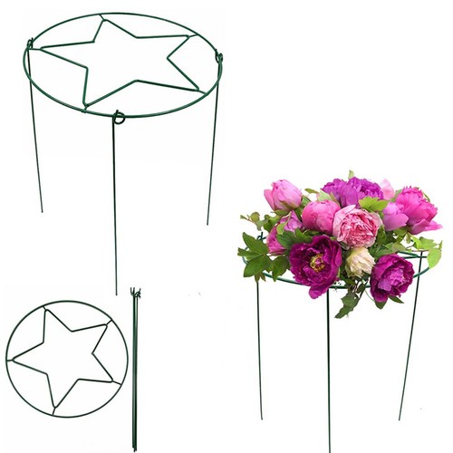 Cages support plantes - 4,