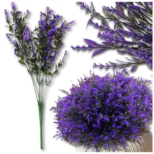 Fleurs violettes