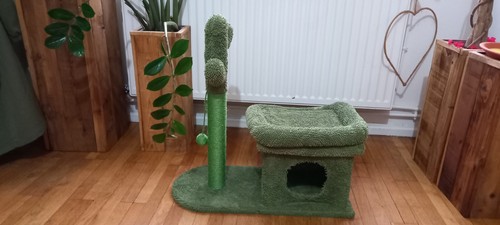 Niche cactus neuve arbre - niche,