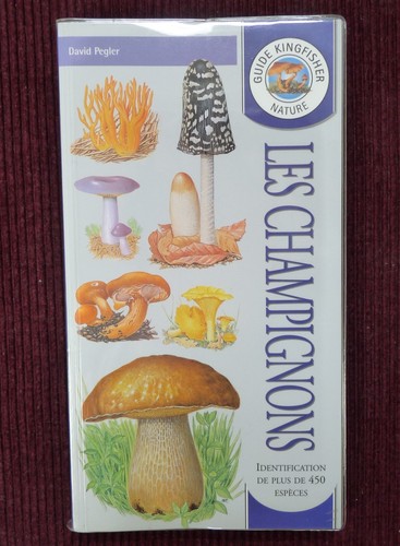 Les champignons de david - champignons,