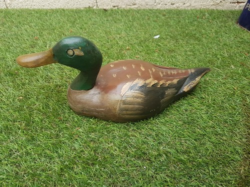 Appelants bois chasse canard - appelants,