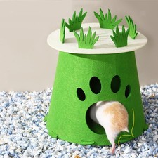 Hamster house nid toutes