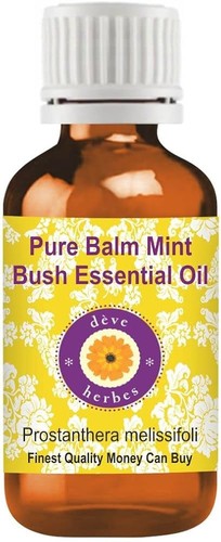 Baume menthe bush essential - bush,