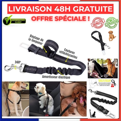 Ceinture chien voiture harnais - ceinture,