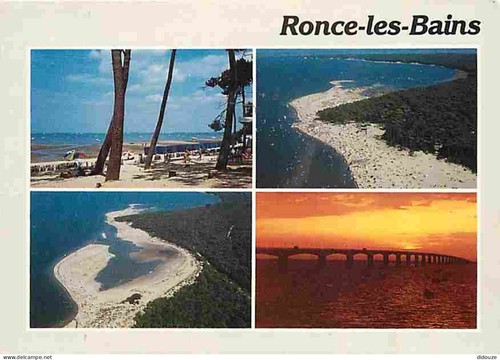 Carte postale ronce - carte, 17
