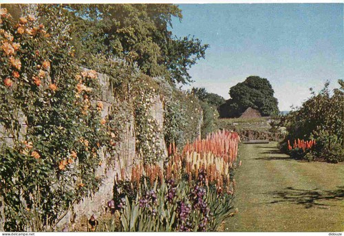 Carte postale royaume uni - -, royaume-uni