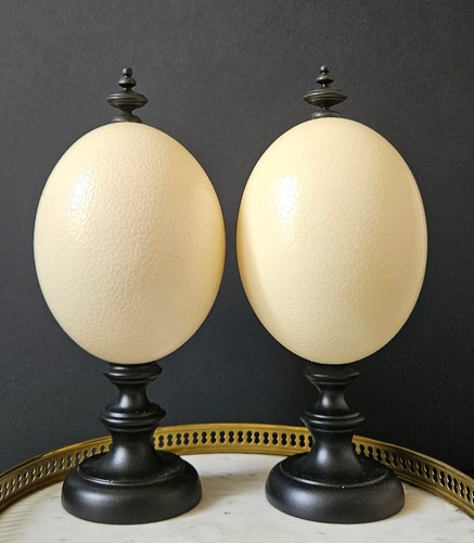 Oeuf autruche socle bois - oeuf, d'autruche,