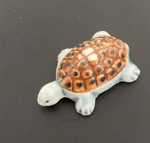 Feve tortue - tortue,