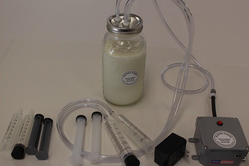 Goat sheep cow vacuum - sheep, vacuum-pulse
