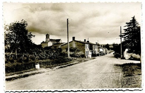 Mouzillon les vins carrefour - vins,