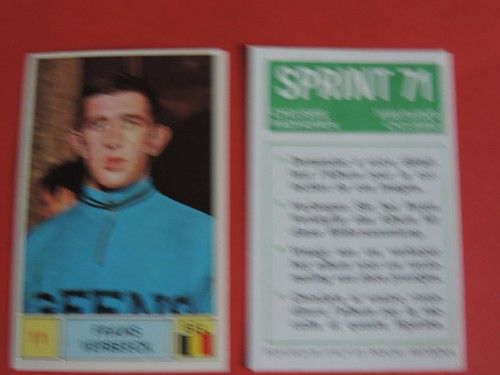 Frans verbeeck panini - 11,