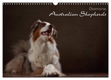 Bergers australiens Charmante (Calendrier mural 2026 DIN A3 horizontal), CALVEND