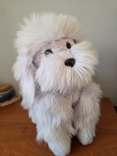 Grand chien caniche - chien, royal