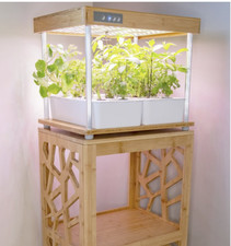 Jardin Hydroponique Intérieur