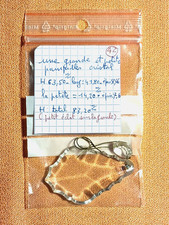 Une grande pampille en cristal