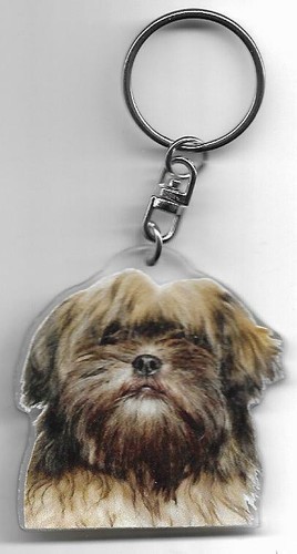 Lhassa apso chien porte cles - porte, /