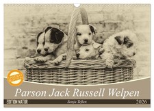 Parson Jack Russel Cubs