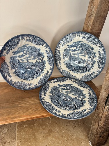 Lot assiettes churchill - 3,