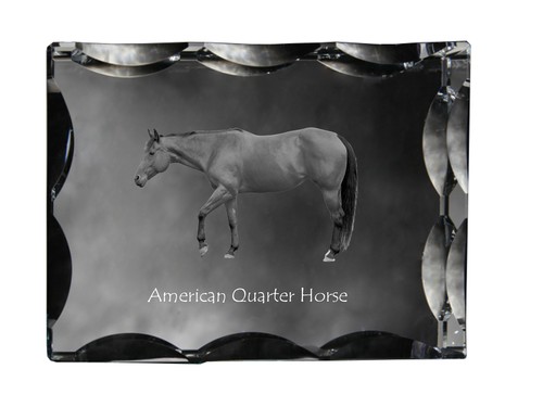 Cheval quarter horse - cheval,