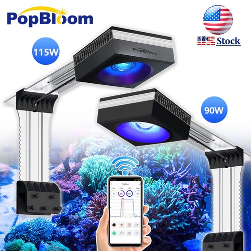 Popbloom rl90 rl115 led - rl115,