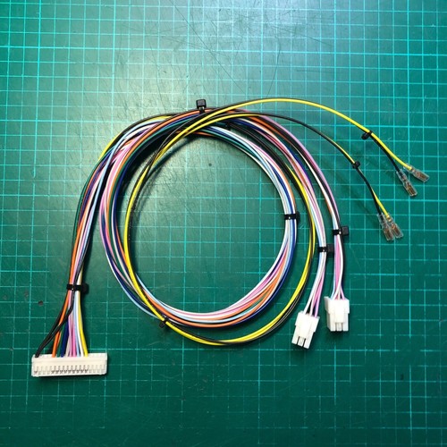 Player and harness - 4,