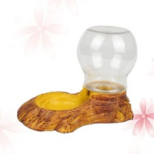 Bol À Eau Pour Tortues