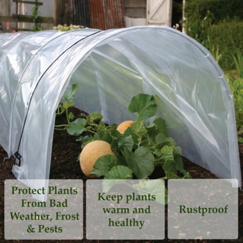 Serre plastique transparent - plastique,
