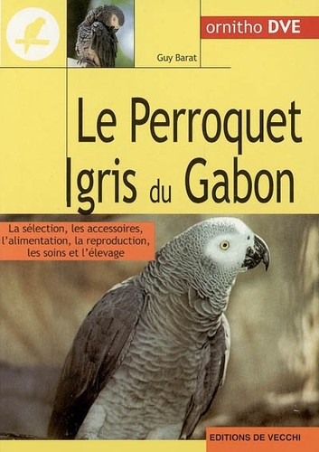 Perroquet gris gabon - perroquet,