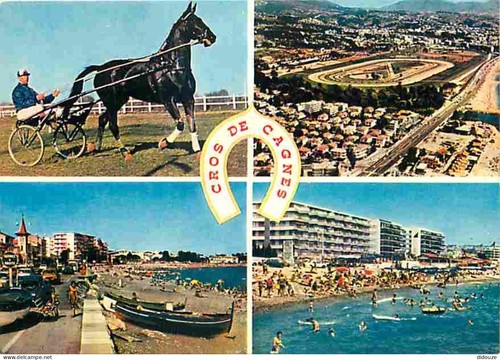 Carte postale animaux - postale,
