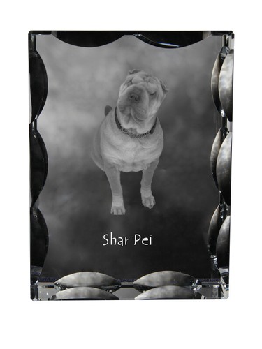 Shar pei cristal avec - pei,