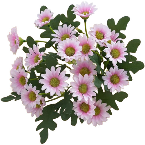 Lot fleurs marguerites - lot, de
