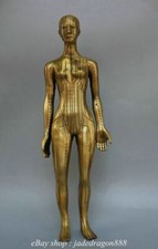 18.8" Old Chinese Marked Copper Stand Naked Woman Acupuncture Model Sculpture