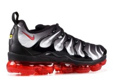 Nike tn vapormax homme Pointure 41