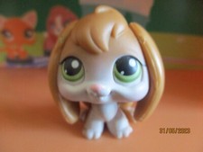 Petshop Lapin Bélier #185