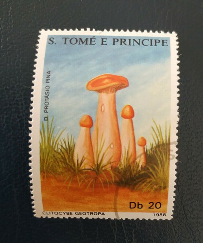 Tome principe 1979 flora - tome,