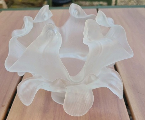 Grande tulipe verre dépoli - tulipe,
