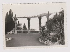 photo ancienne 🎞️ pergola jardin Monte-Carlo 12 février 1934