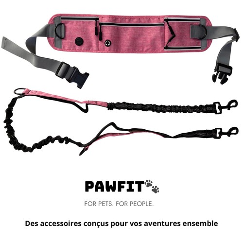 Laisse mains libres chien - laisse,