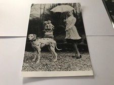 ISABELLE AUBRET - PHOTO DE