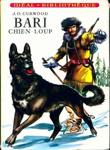 Bari chien loup james - james, oliver
