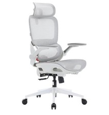 Chaise de bureau ergonomique