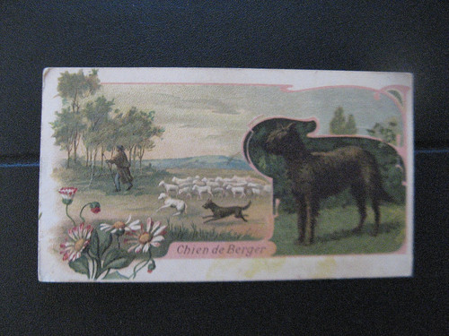 1812 chromo chien - "1812",