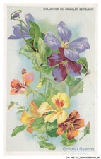 CAR-AEEP11-0547-FANTAISIE -