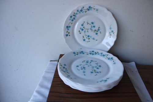 Assiettes dessert arcopal - 6,