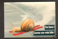 "SKI SNAIL ""I DROOL LIKE A REAL BEET"