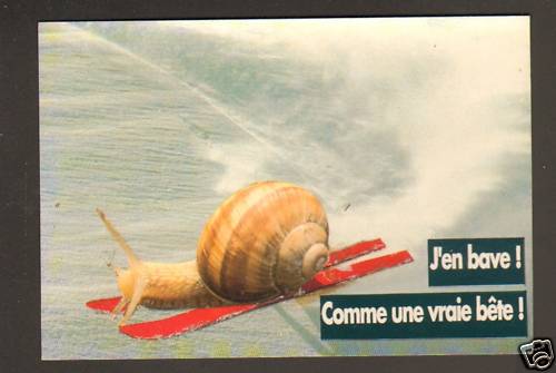 Humour sport hiver - sport, /