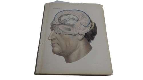 1850 lithographie couleur - 1850.lithographie,