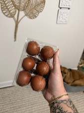 6 Black Copper Marans NPIP